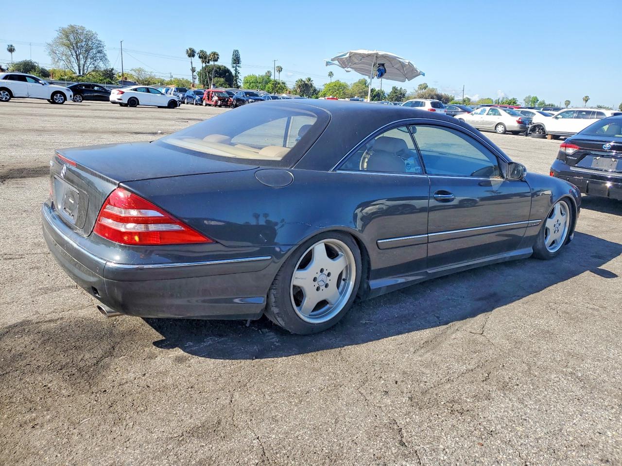 2002 Mercedes-Benz Cl-class VIN WDBPJ78J32A021731 photo 3