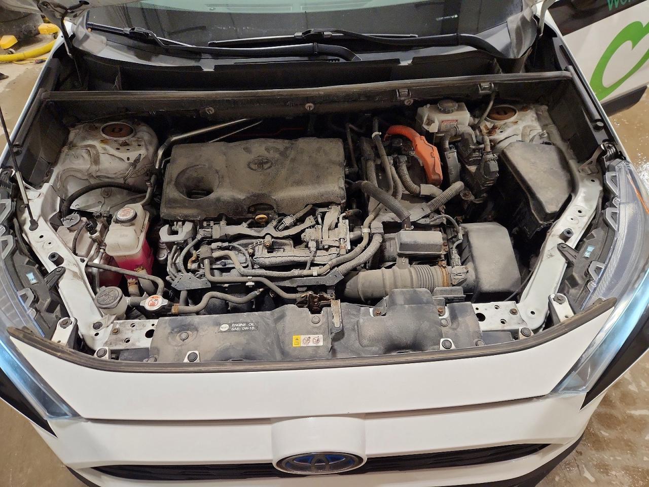 2019 Toyota Rav4 VIN 2T3LWRFV0KW027698 photo 12