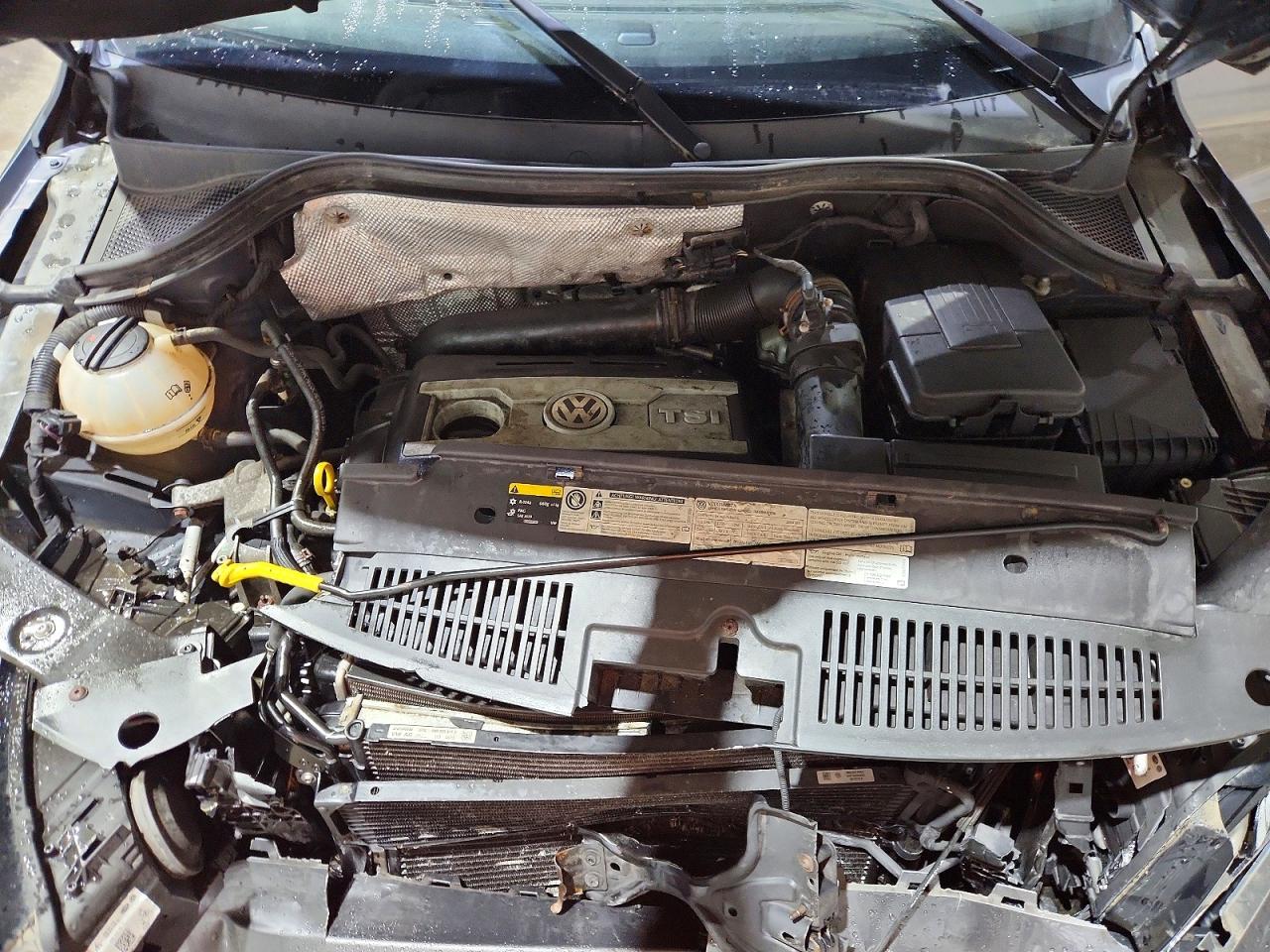 2014 VOLKSWAGEN Tiguan VIN WVGBV3AXXEW058799 photo 12