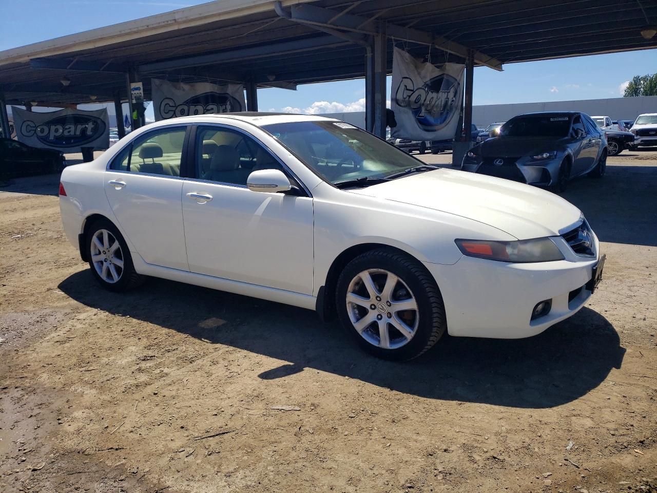 2004 Acura Tsx VIN JH4CL96904C029662 photo 4
