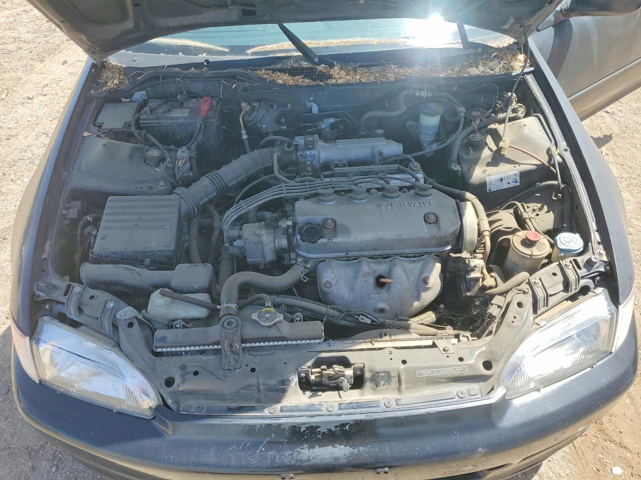 1998 Honda Civic VIN 2HGEJ222XSH540503 photo 11