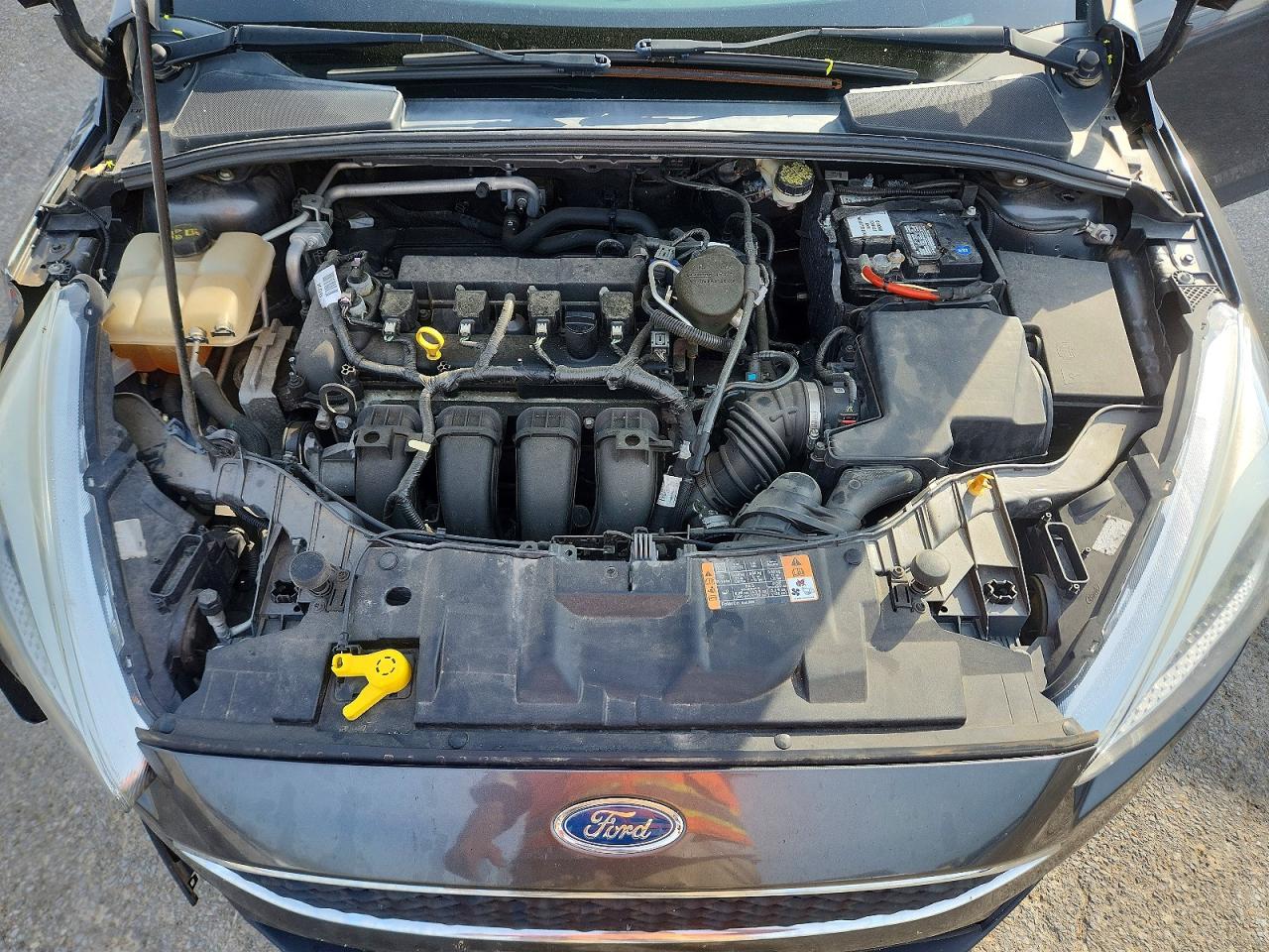 2016 Ford All models VIN 1FADP3F27GL226347 photo 11