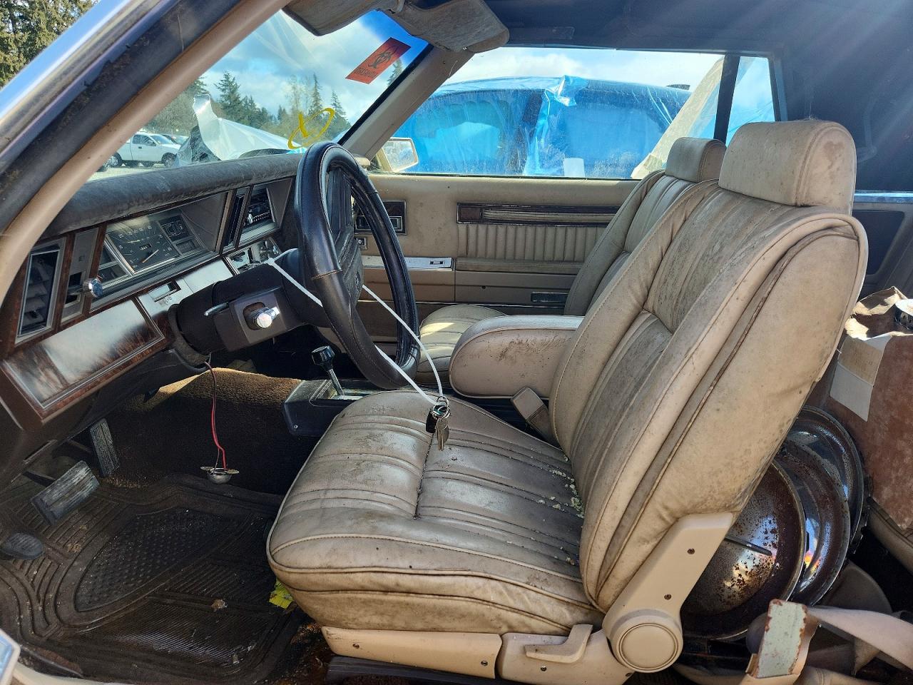 1984 CHRYSLER Lebaron VIN 1C3BC55C3EG167732 photo 7