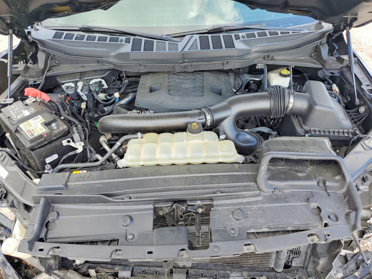 2021 Ford F150 VIN 1FTFW1E8XMFA44149 photo 11