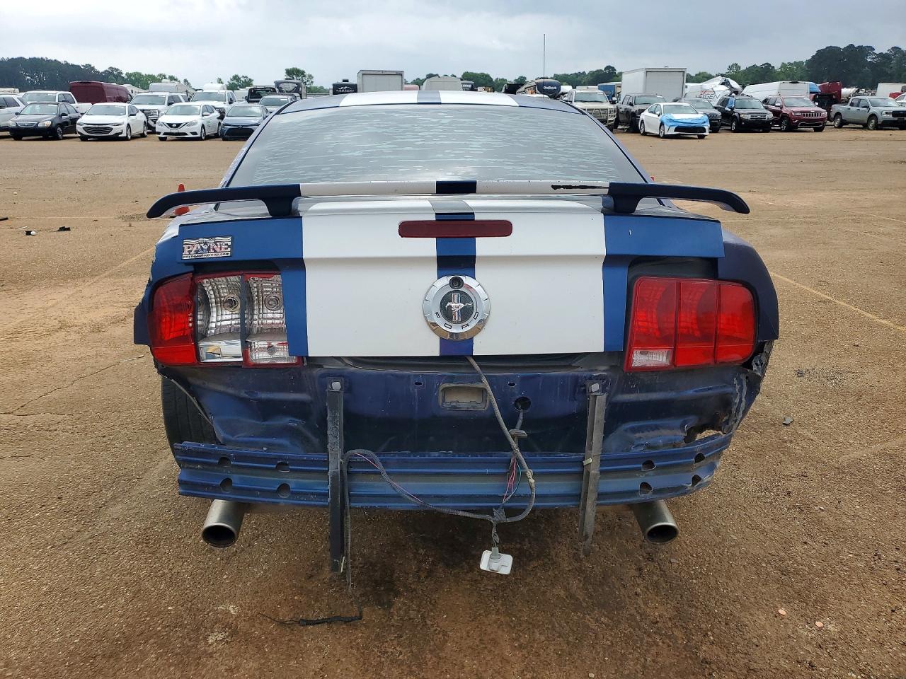 2006 Ford Mustang VIN 1ZVFT80N165166712 photo 6