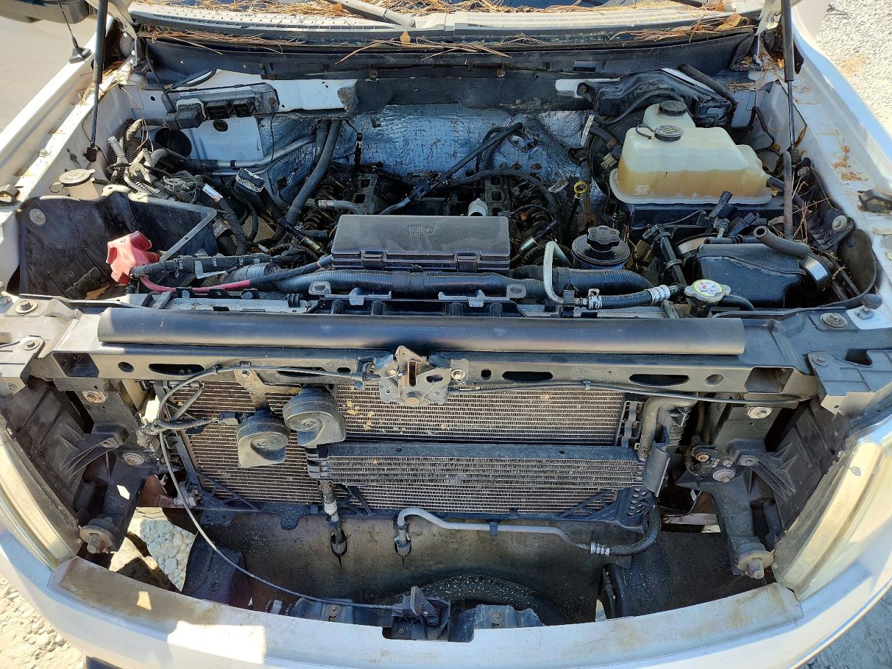 2010 Ford F150 VIN 1FTFW1EV6AFB99993 photo 11
