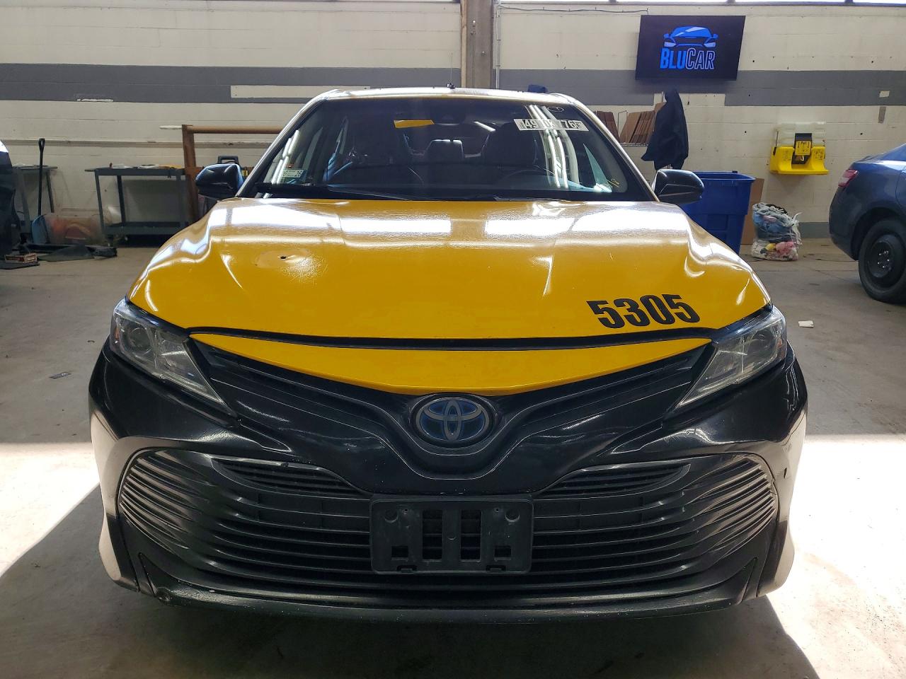 2019 TOYOTA Camry sola VIN 4T1B31HK8KU515184 photo 5