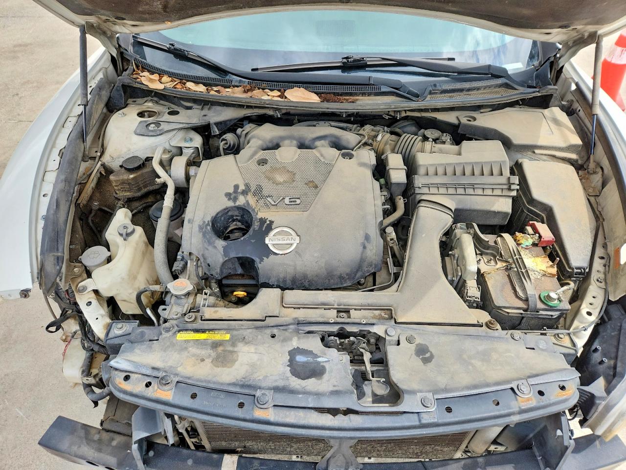 2009 Nissan Maxima VIN 1N4AA51E69C845039 photo 11