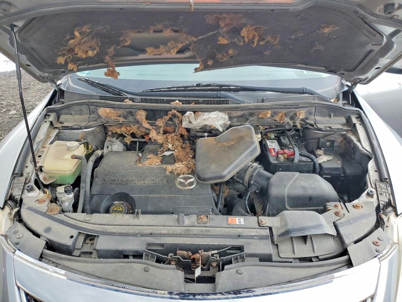 2011 Mazda Cx-9 VIN JM3TB3BV9B0315987 photo 12