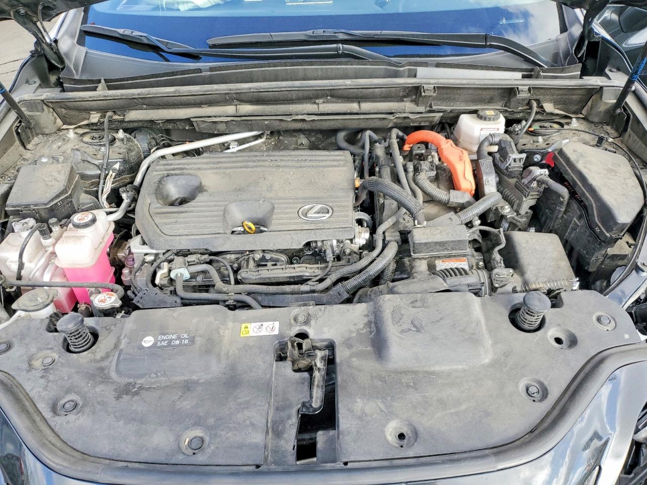 2024 Lexus Nx 350h ba VIN JTJAKCEZ5R5018420 photo 12