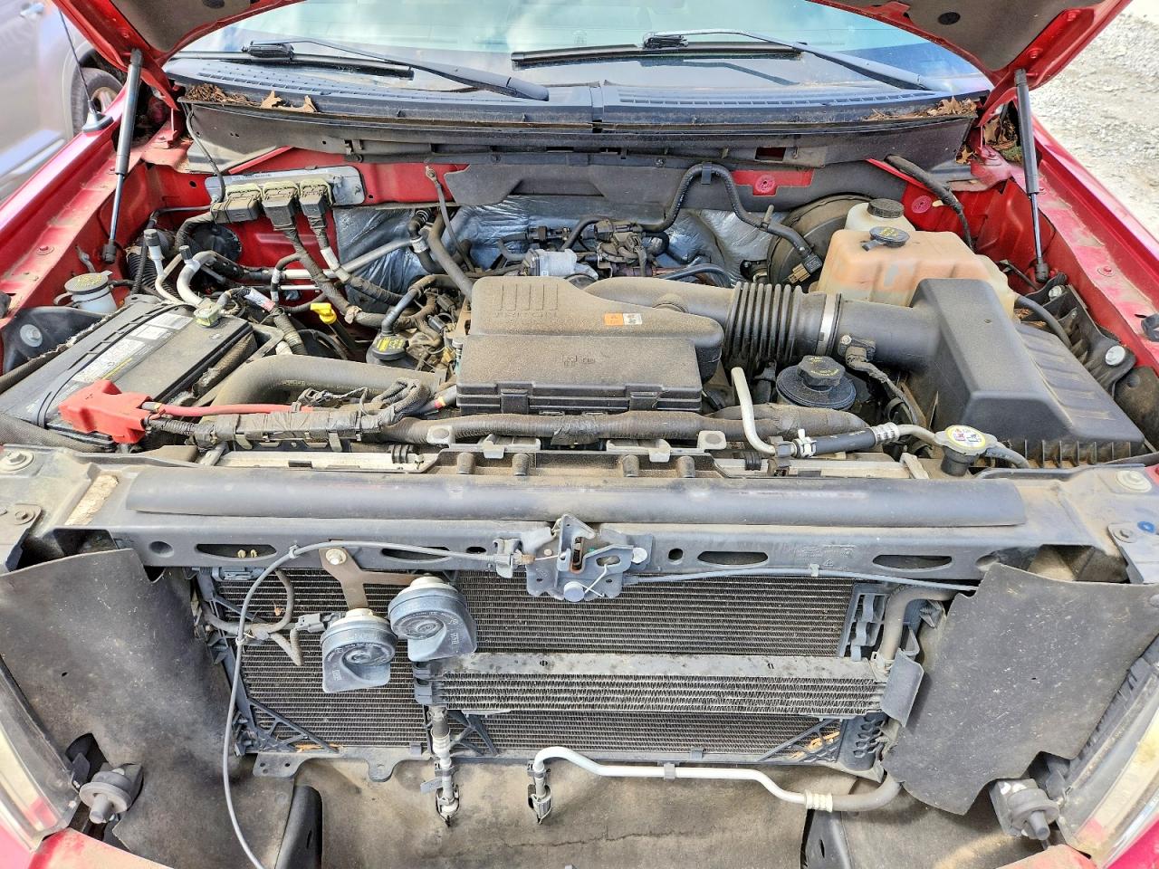 2010 Ford F150 VIN 1FTMF1CW1AKA18535 photo 11