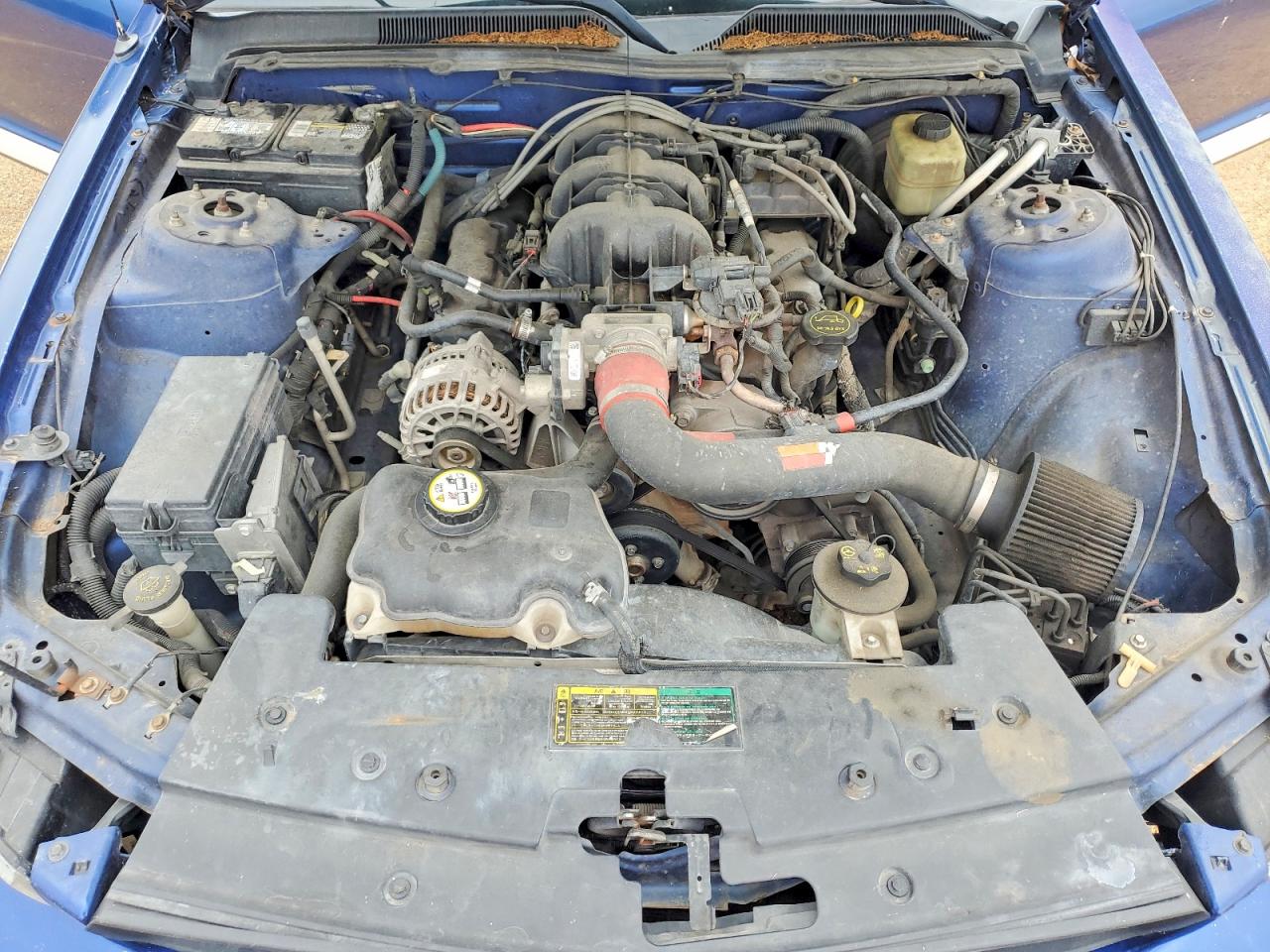 2006 Ford Mustang VIN 1ZVFT80N165166712 photo 11