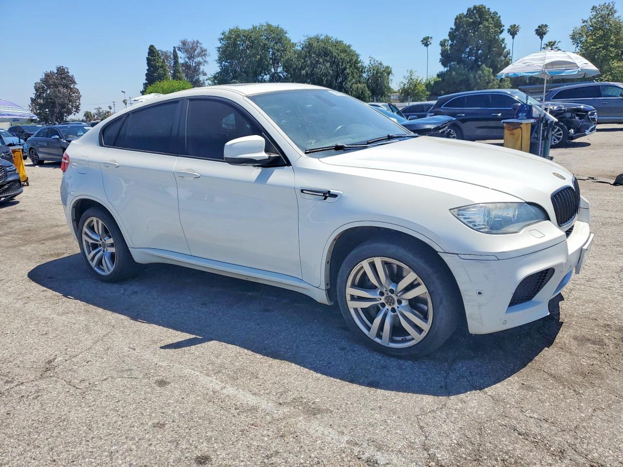 2012 BMW X6 VIN 5YMGZ0C53CLL29619 photo 4
