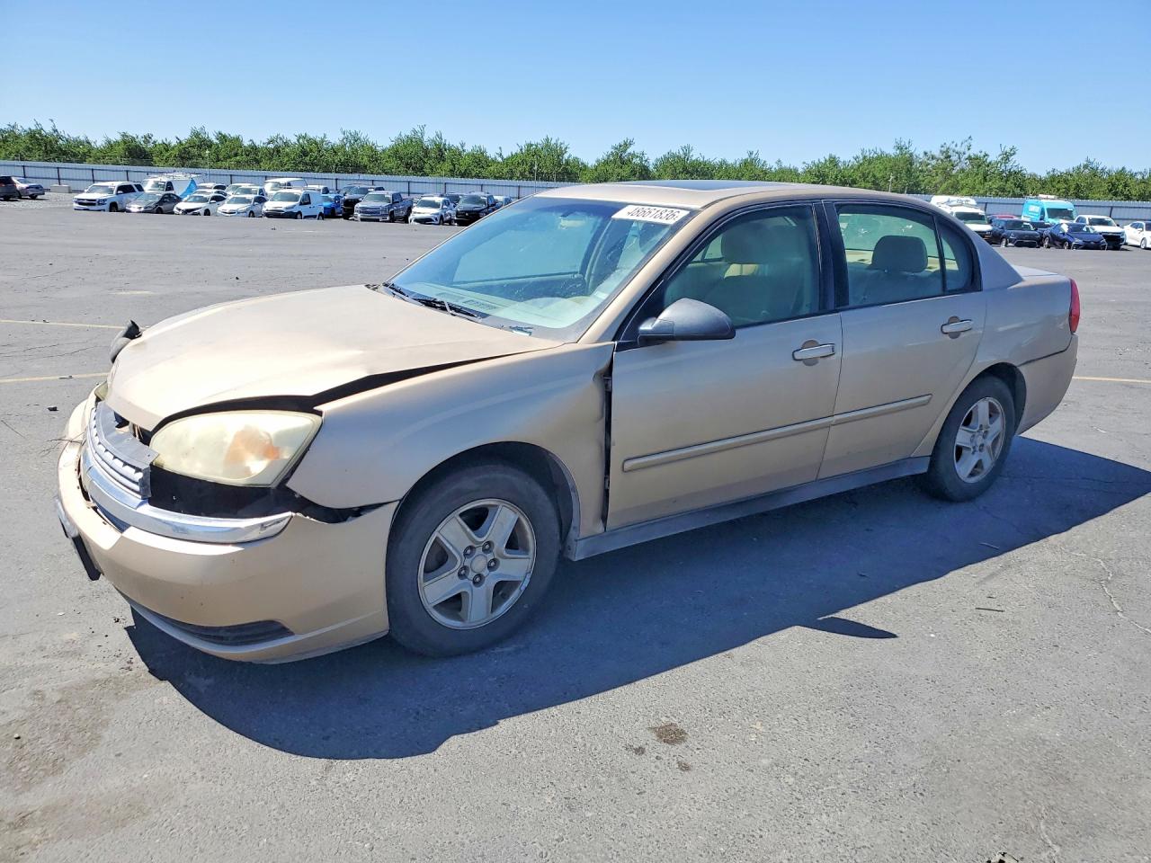 2004 CHEV Malibu VIN 1G1ZT54864F219679 photo 1