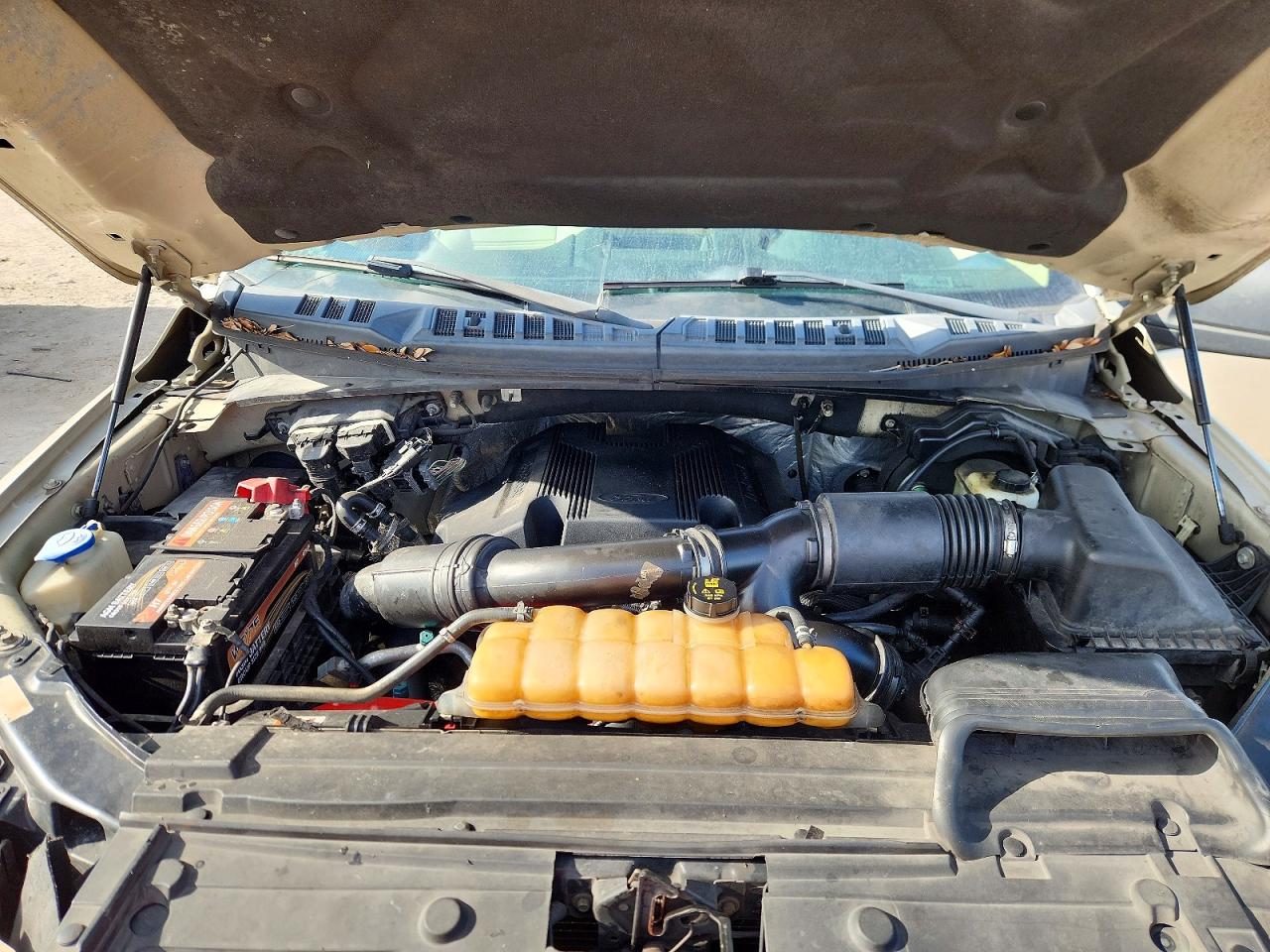 2017 Ford F150 VIN 1FTEW1EG1HFA65223 photo 12