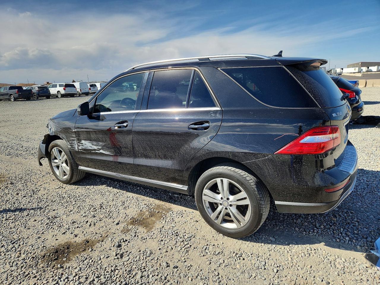2013 Mercedes-Benz M-class VIN 4JGDA2EB0DA220190 photo 2