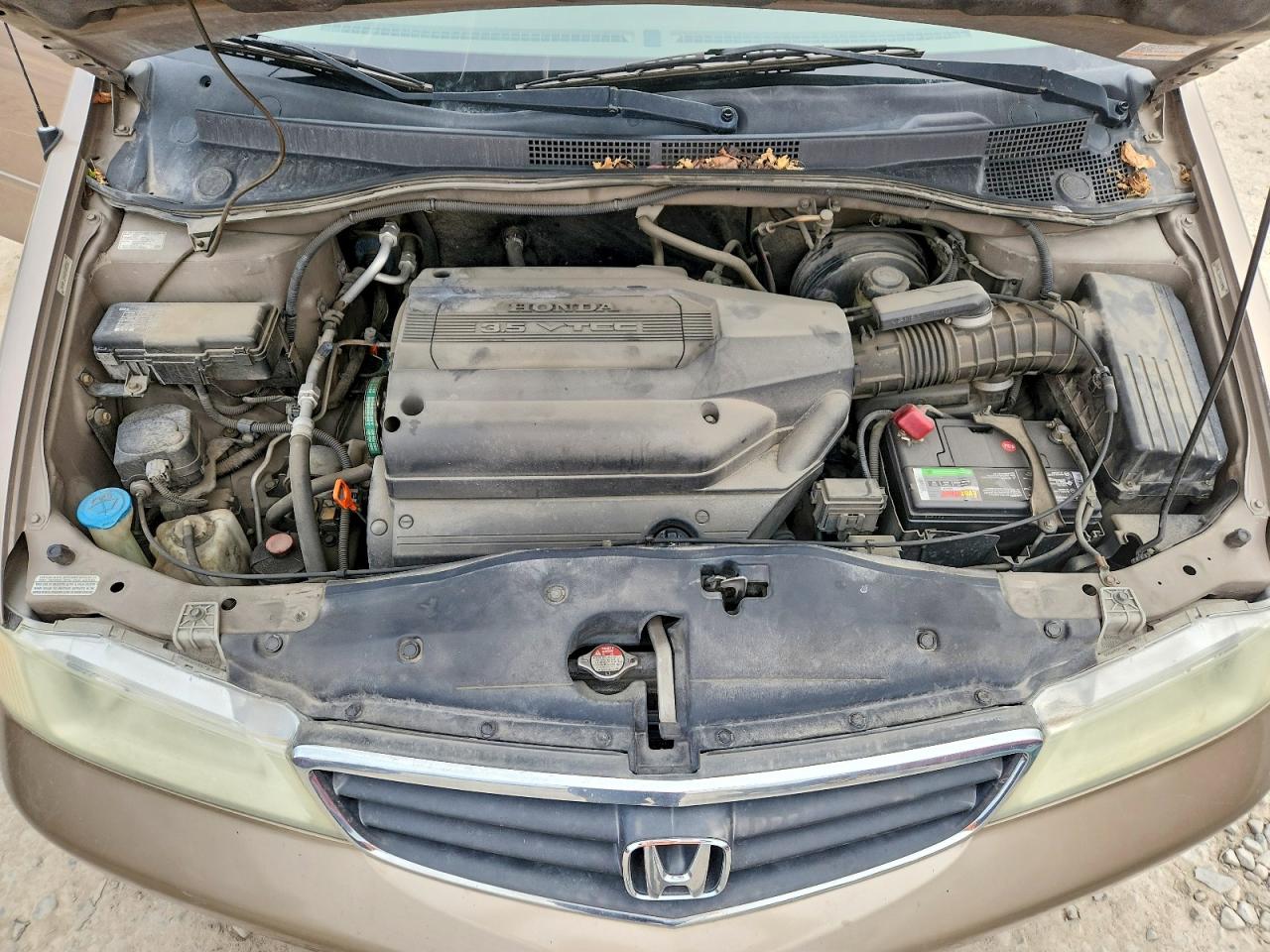 2003 Honda Odyssey VIN 5FNRL18643B008332 photo 12
