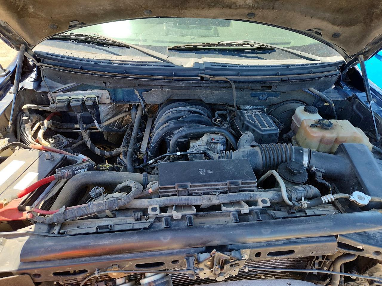 2010 Ford F150 VIN 1FTEW1C83AKA22785 photo 11