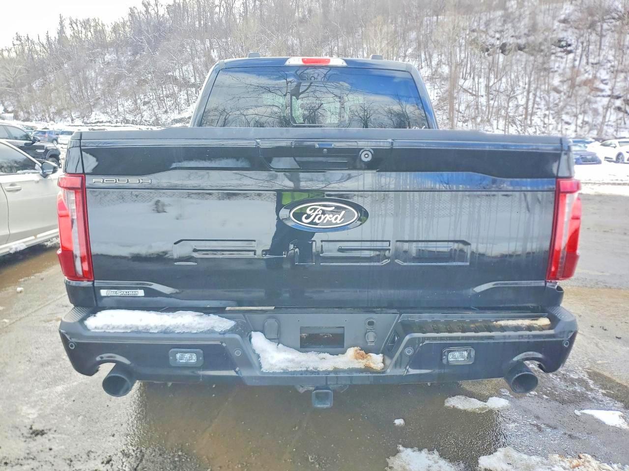 2024 Ford F150 VIN 1FTFW3L54RFA68314 photo 6