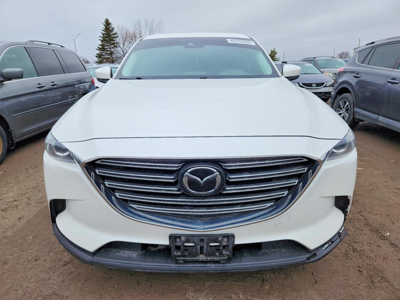 2019 Mazda Cx-9 VIN JM3TCBCY4K0300183 photo 5