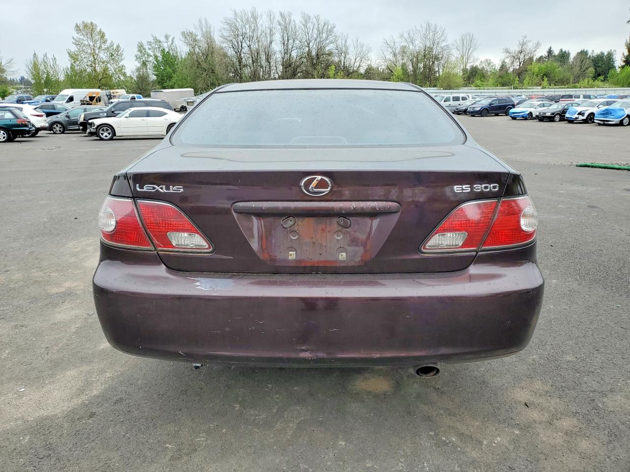 2003 Lexus Es300 VIN JTHBF30G330131982 photo 6
