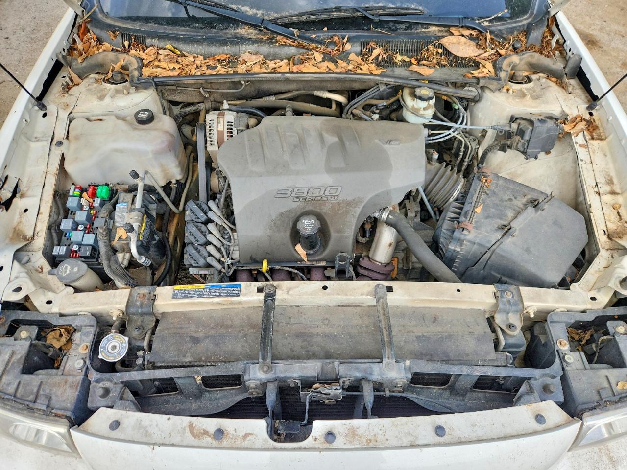 2005 Buick Lesabre VIN 1G4HP52K95U181122 photo 11