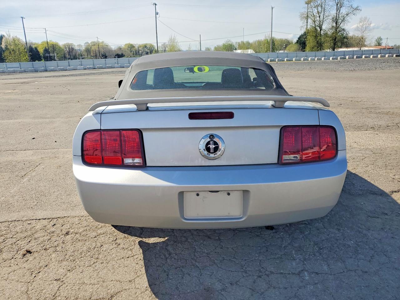 2005 Ford Mustang VIN 1ZVHT84N355253562 photo 6