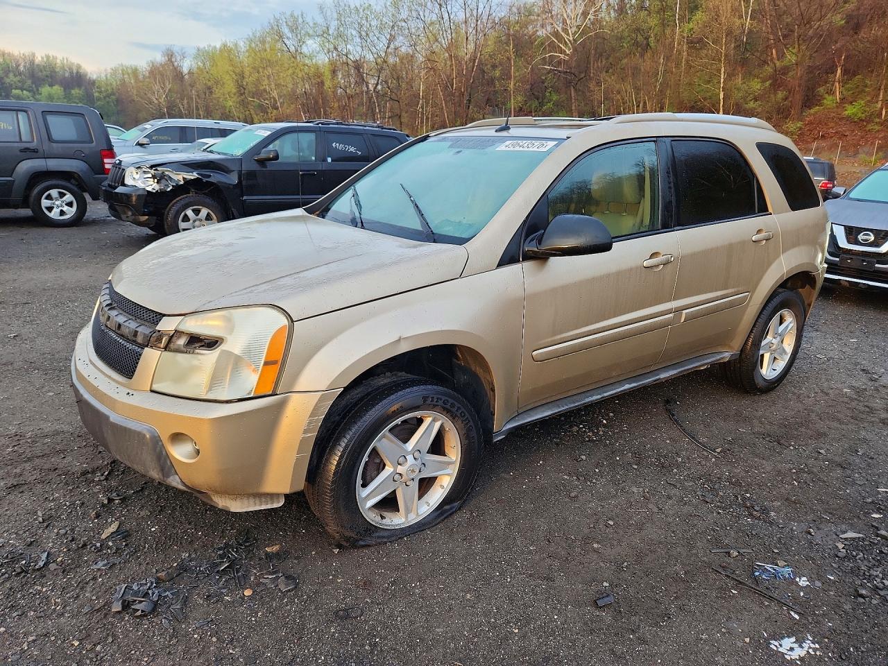 2005 Chevrolet Equinox VIN 2CNDL73F156137234 photo 1