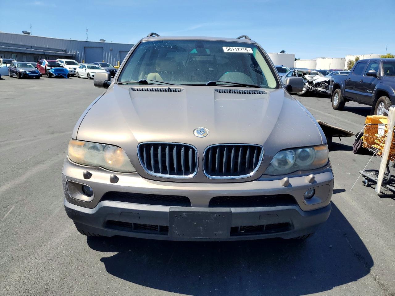 2005 BMW X5 VIN 5UXFA13595LY18481 photo 5