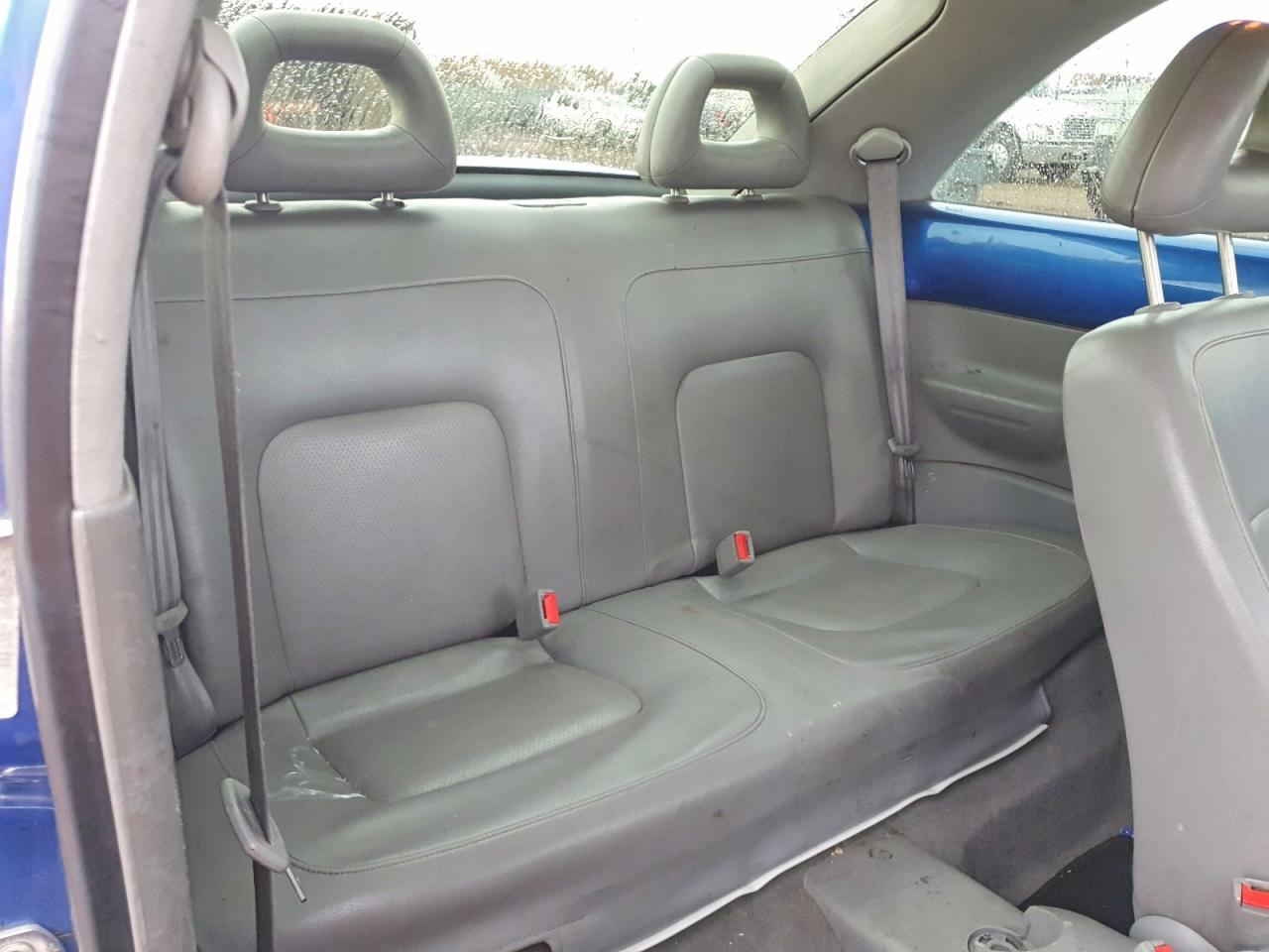 1999 VOLKSWAGEN Beetle VIN 3VWCA21C8XM456458 photo 10