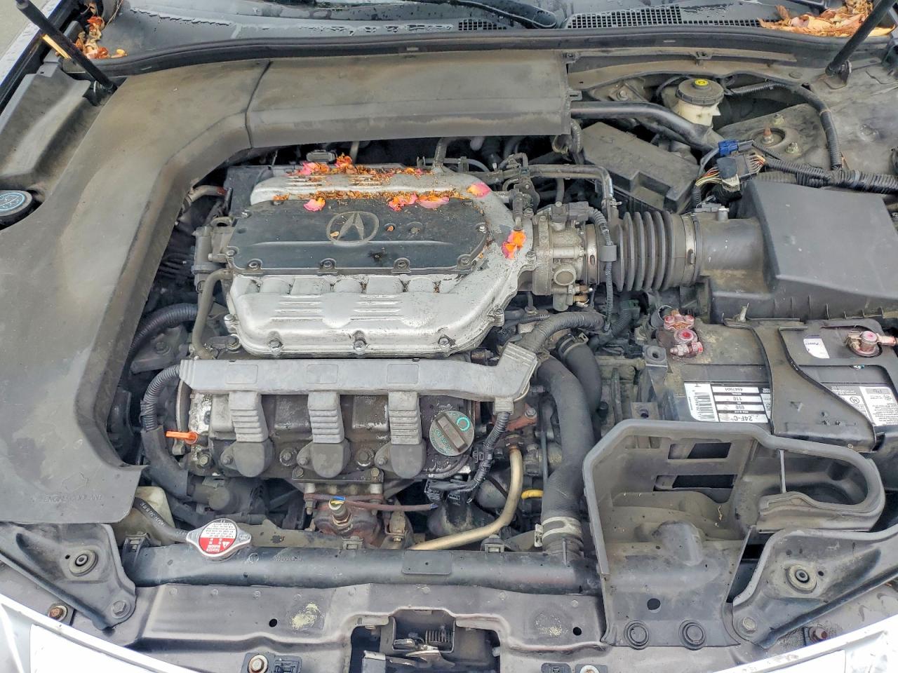 2011 Acura Tl VIN 19UUA8F58BA005235 photo 11