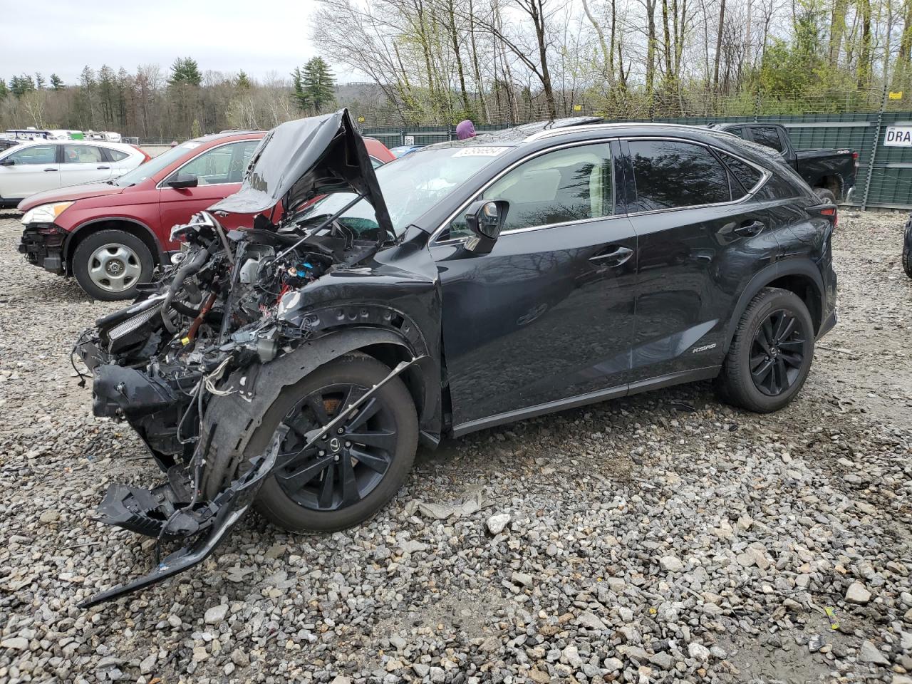 2018 Lexus Nx VIN JTJBJRBZ5J2091937 photo 1