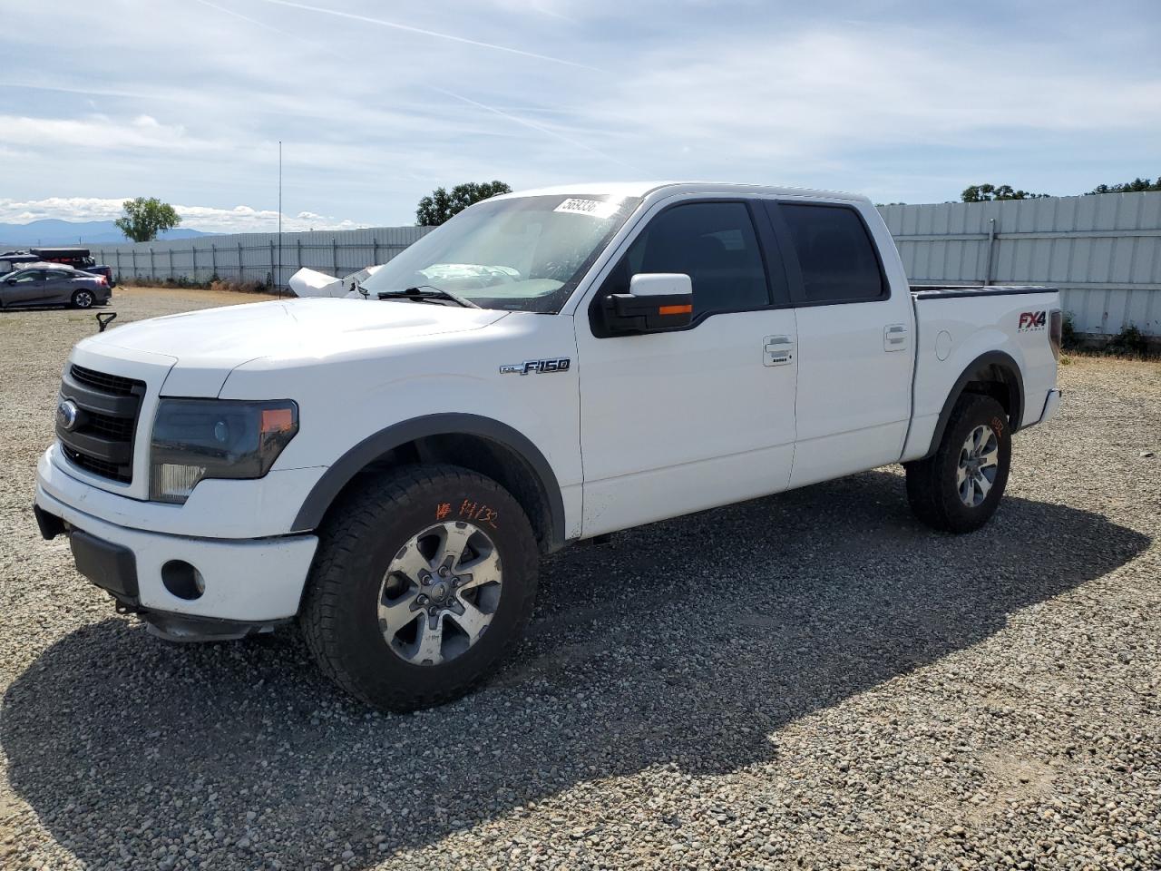 2013 Ford F-150 VIN 1FTFW1EF3DFA06258 photo 1