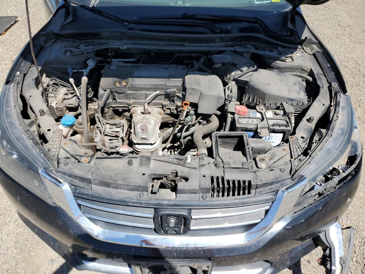 2013 Honda Accord exl VIN 1HGCR2F89DA224235 photo 11