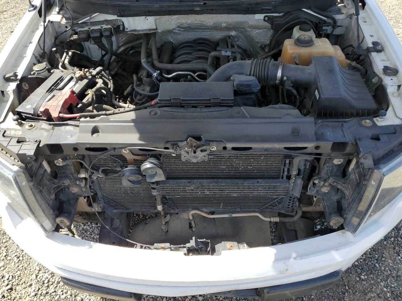 2013 Ford F-150 VIN 1FTFW1EF3DFA06258 photo 11