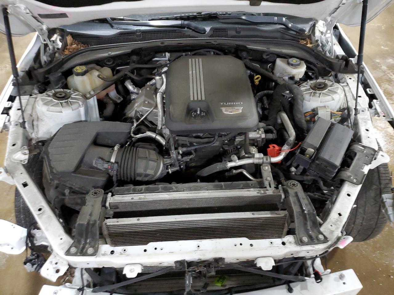 2020 Cadillac Ct4 VIN 1G6DF5RK4L0154025 photo 11