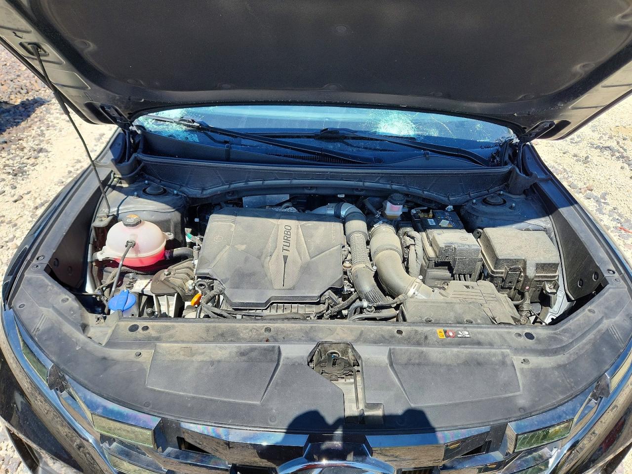 2024 Hyundai Santa cruz VIN 5NTJDDAF7RH093488 photo 11
