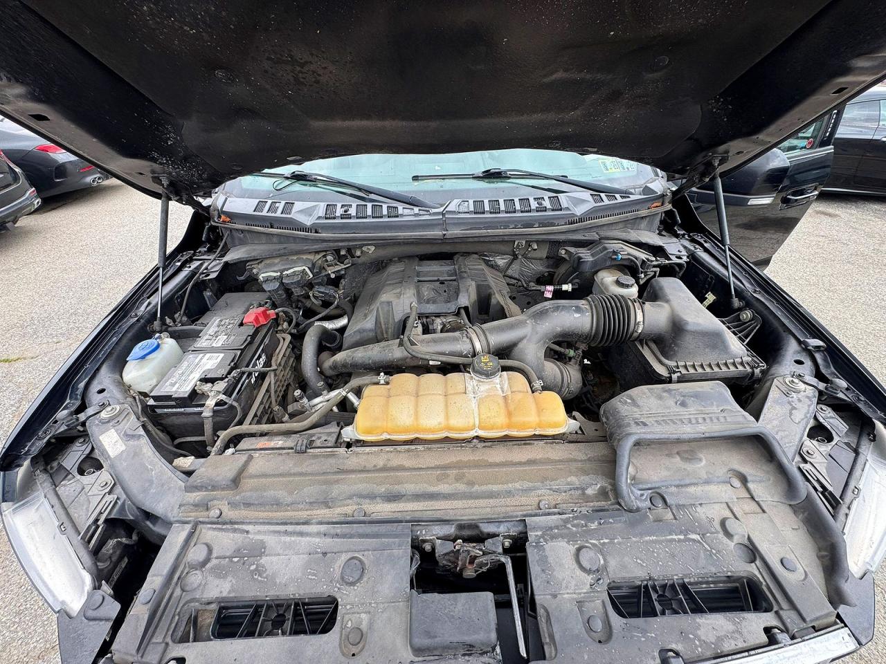 2017 FORD F150 VIN 1FTEW1EP9HFC23632 photo 7
