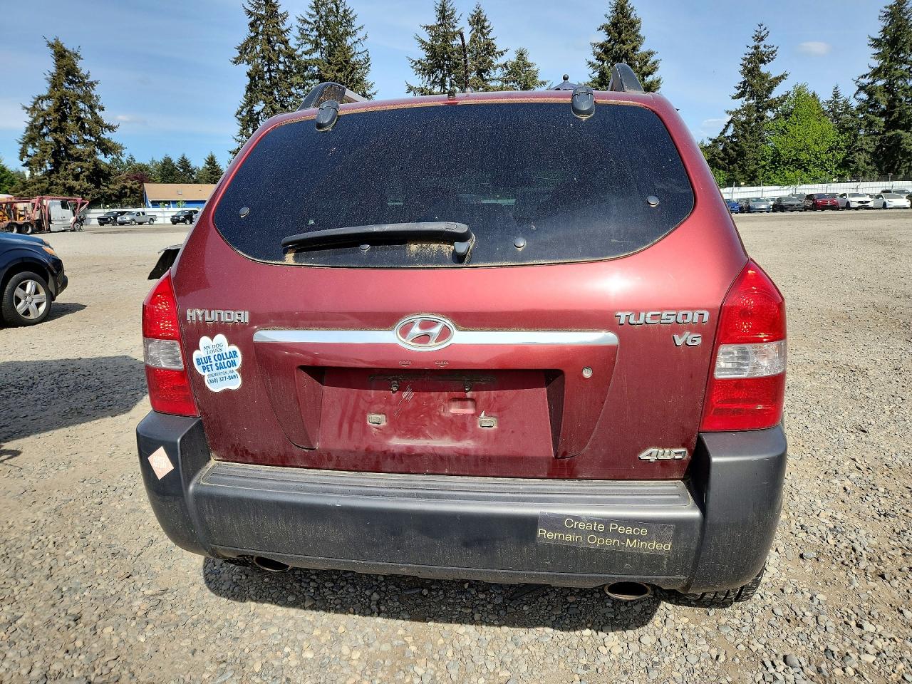 2008 Hyundai Tucson VIN KM8JN72D88U768808 photo 6