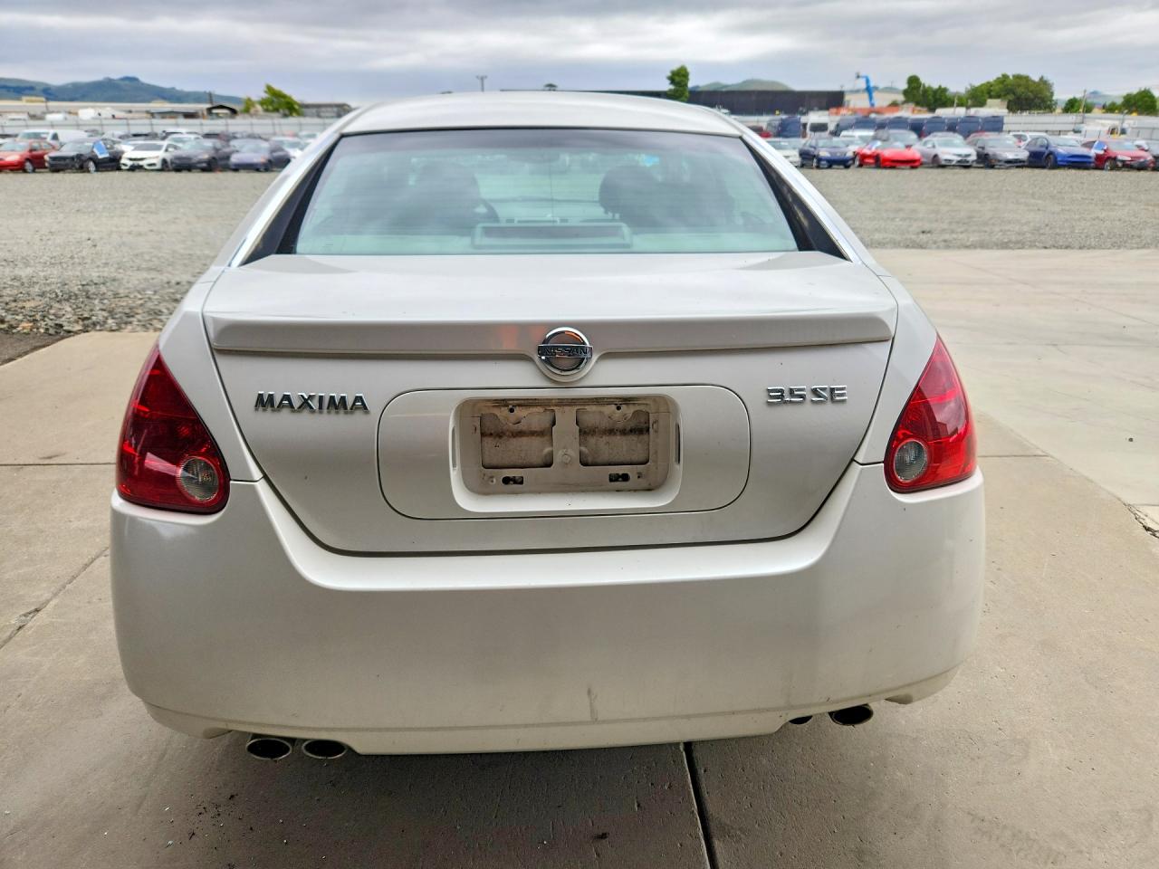 2004 NISSAN Maxima VIN 1N4BA41E94C923899 photo 6