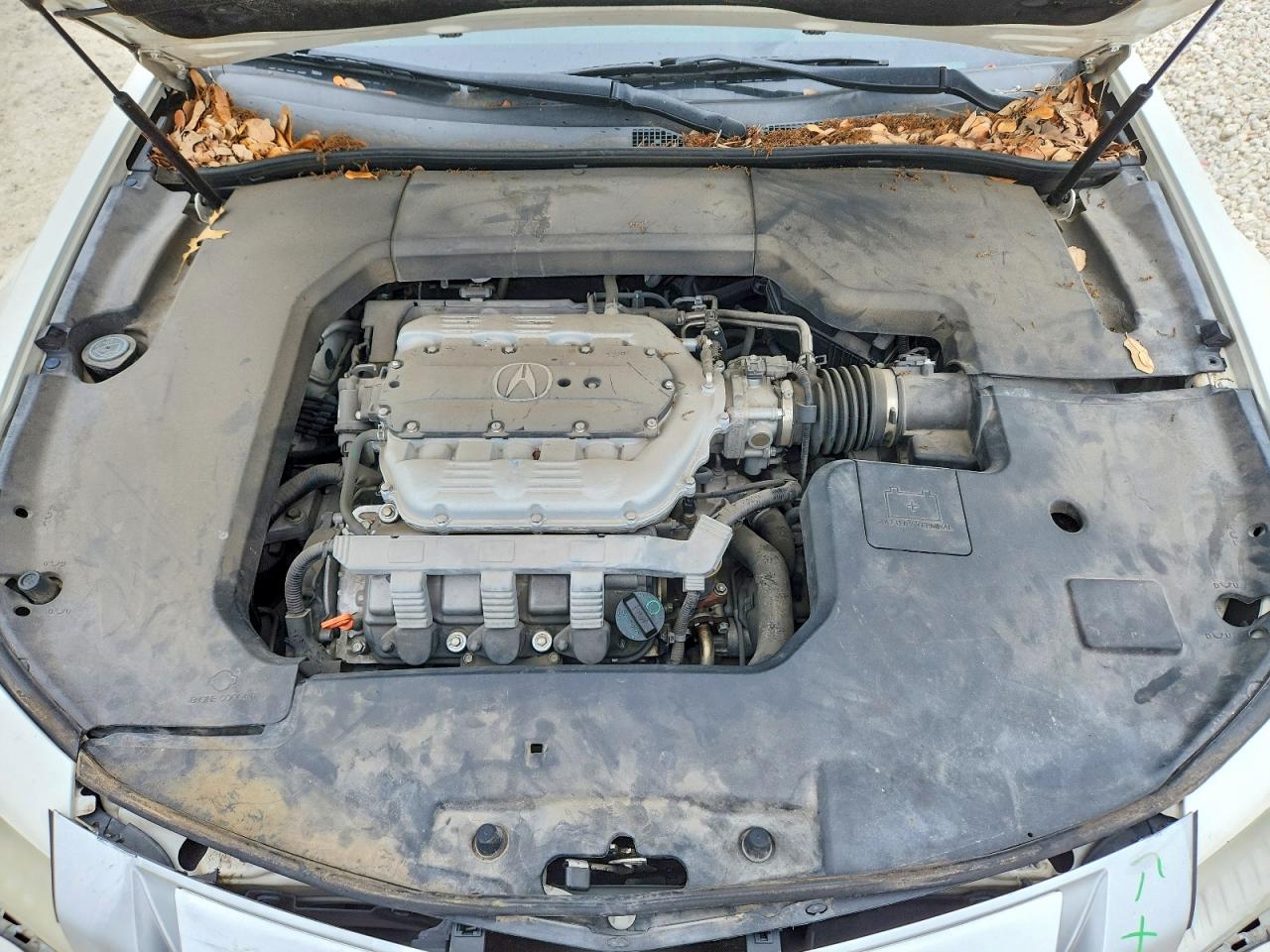 2009 Acura Tl VIN 19UUA86229A019308 photo 11