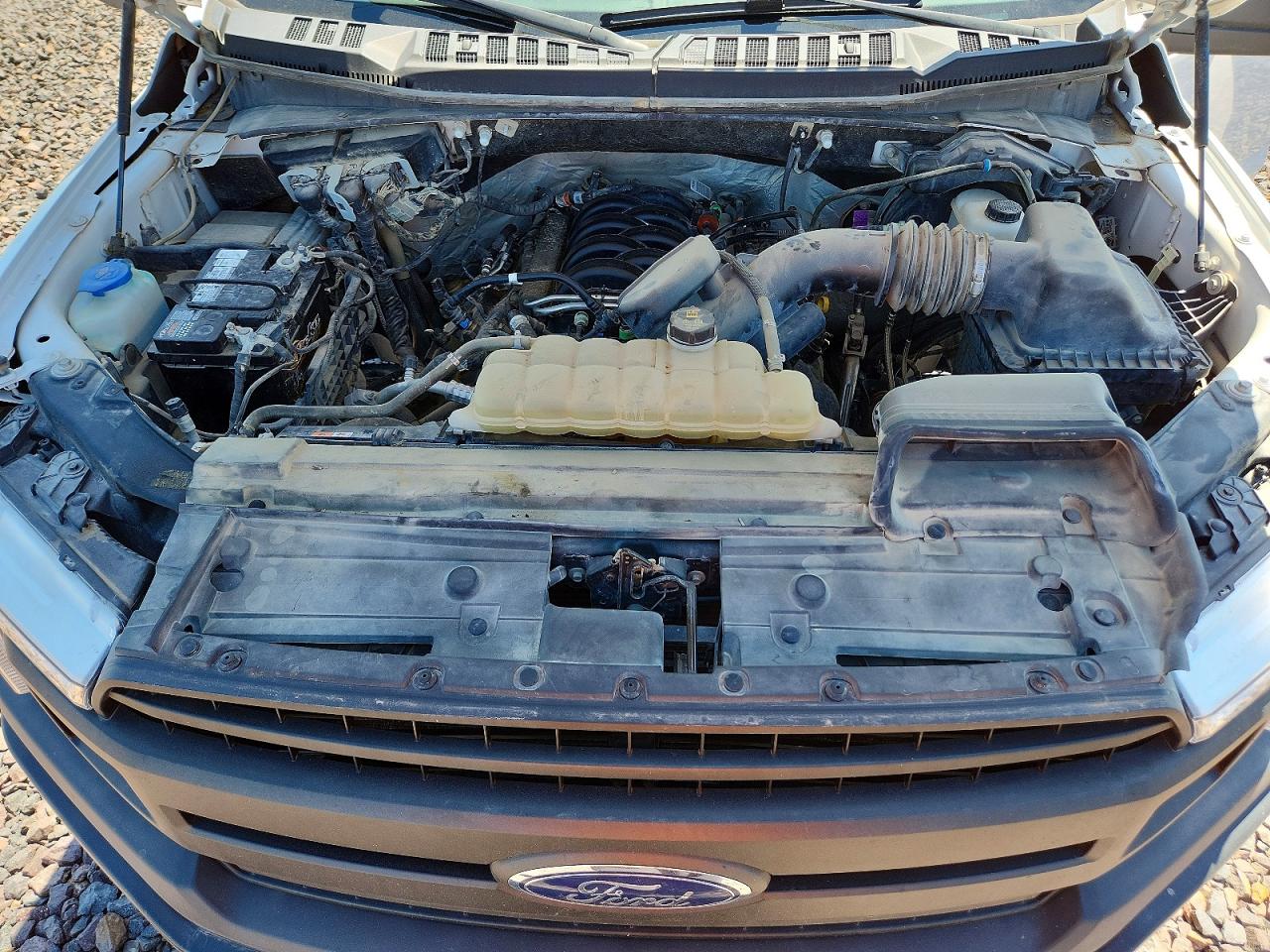 2019 Ford F150 VIN 1FTFX1E51KKC90868 photo 11