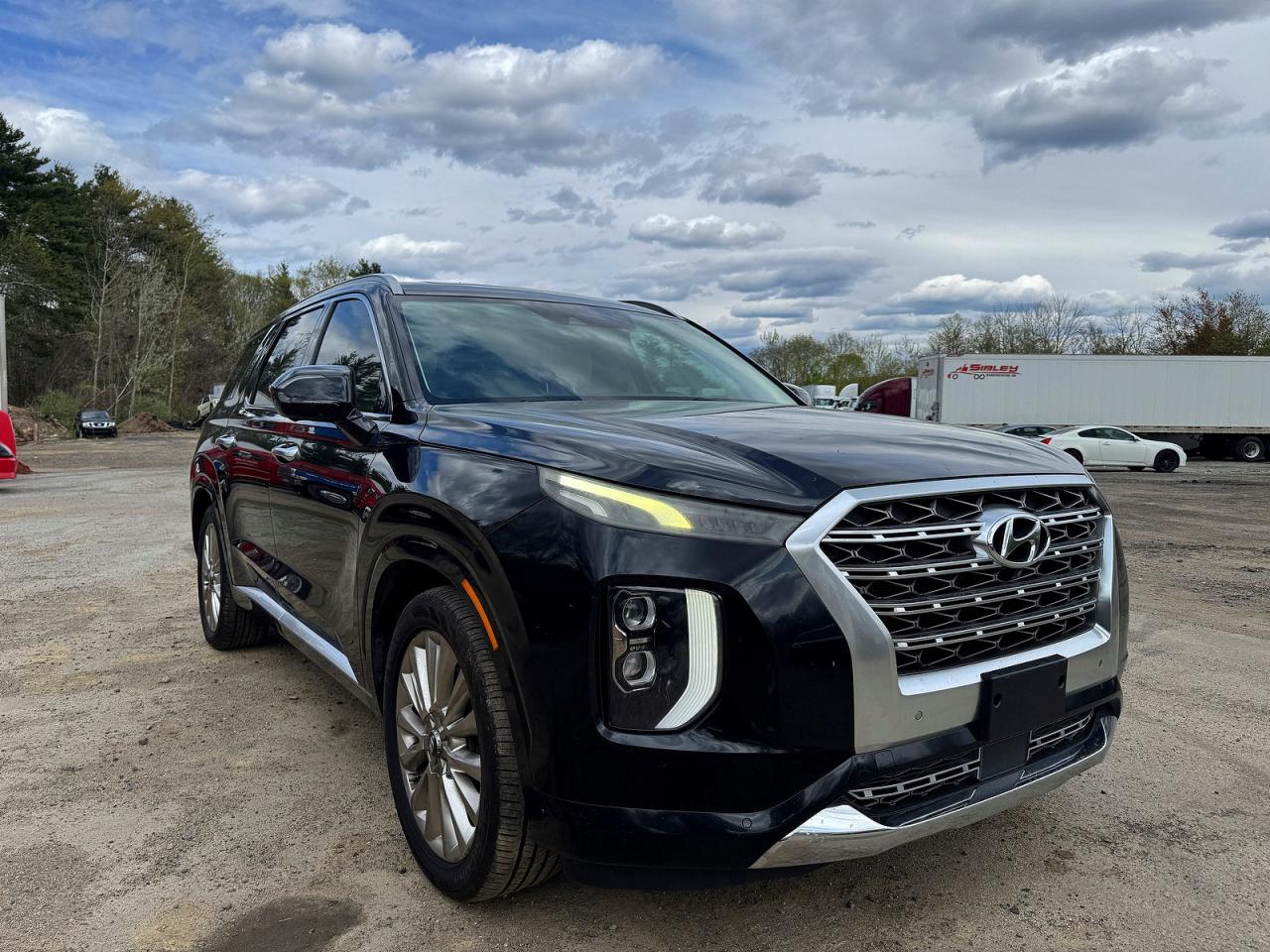 2020 Hyundai Palisade VIN KM8R54HE6LU073642 photo 1