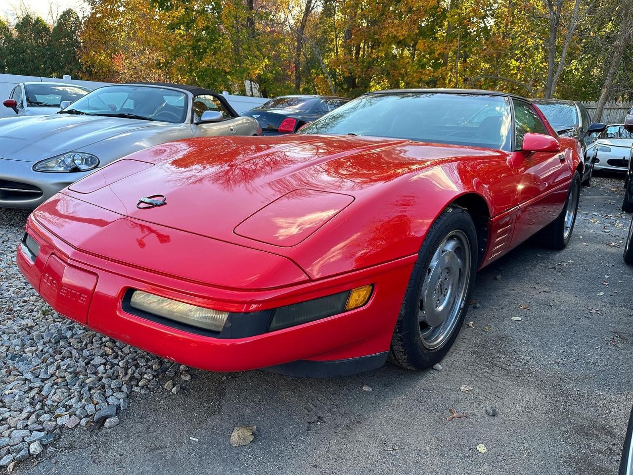1994 CHEV Corvette VIN 1G1YY22P4R5108017 photo 2