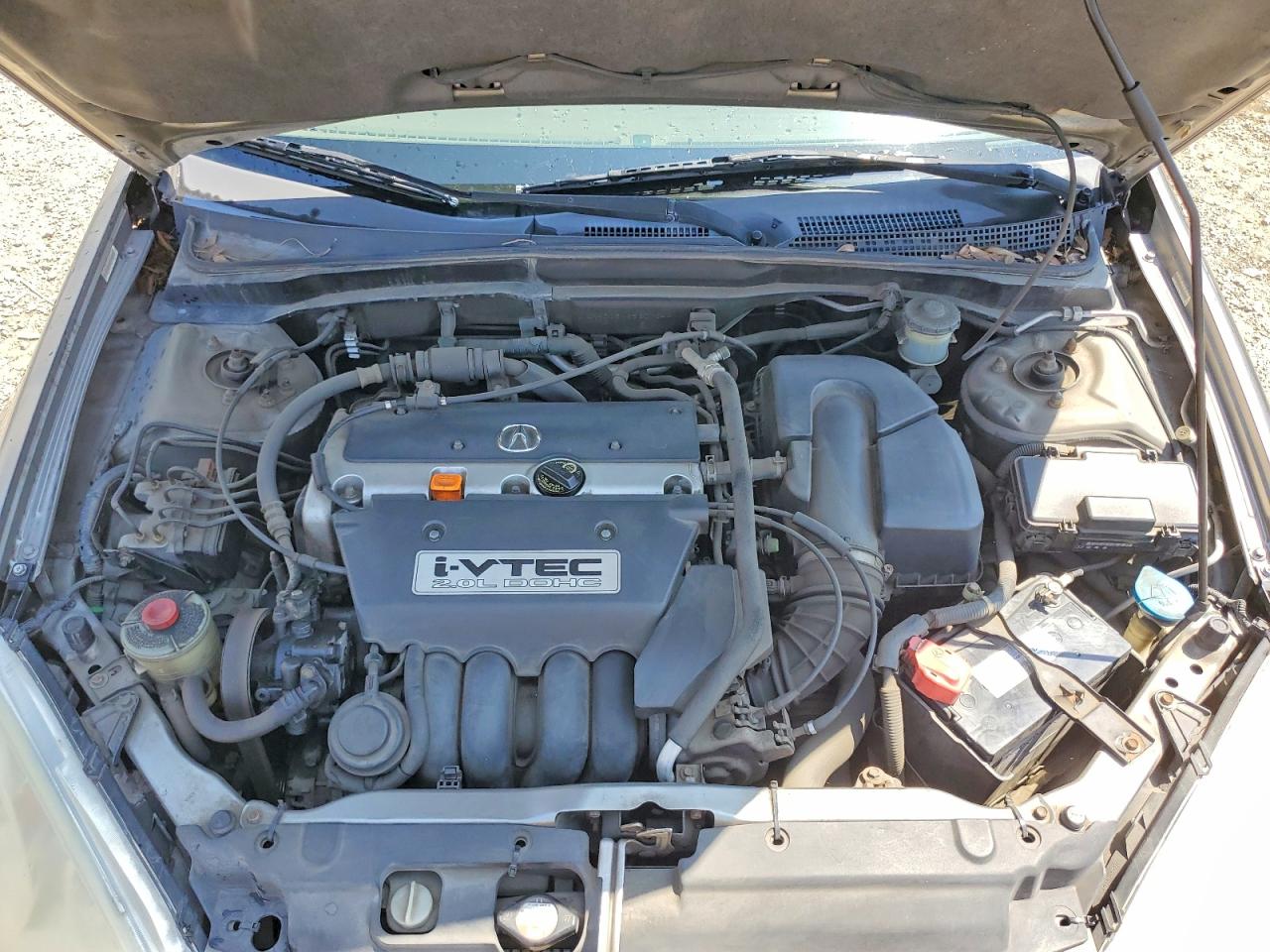 2002 ACURA Rsx VIN JH4DC54852C034411 photo 12