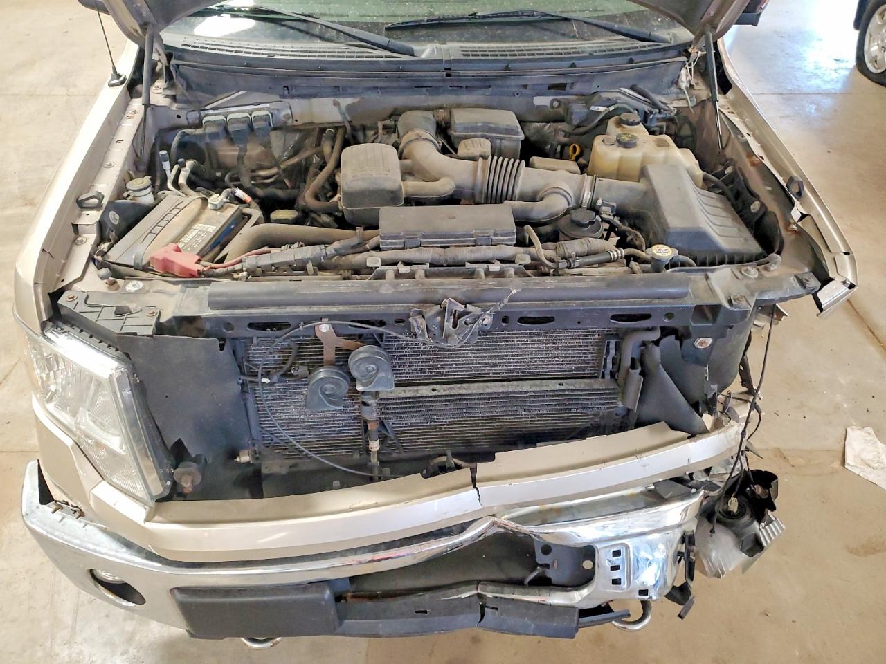 2010 Ford F150 VIN 1FTFW1EV7AKE60006 photo 11