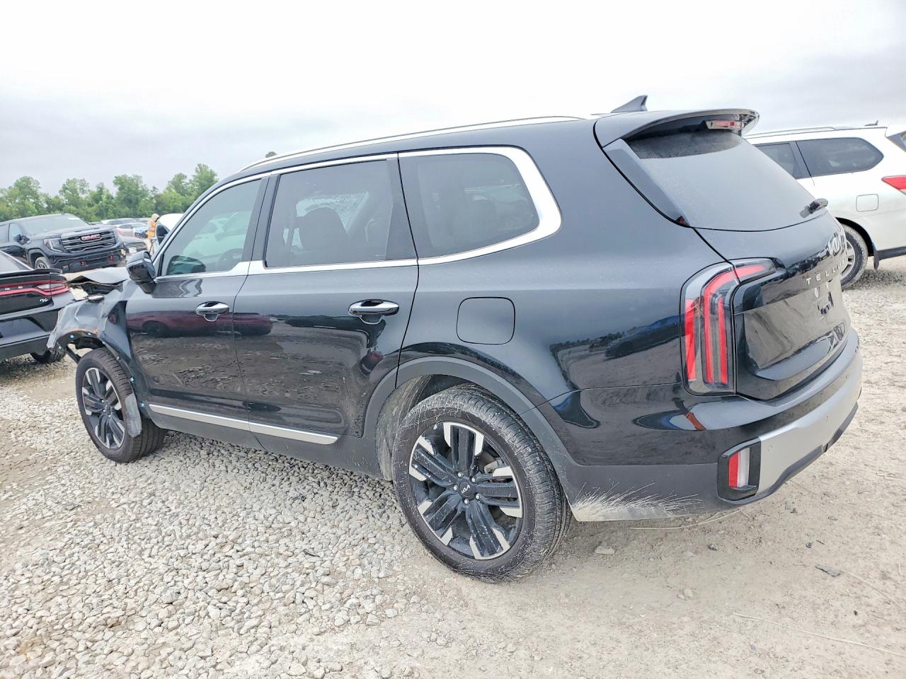 2023 Kia Telluride VIN 5XYP5DGC6PG365312 photo 2