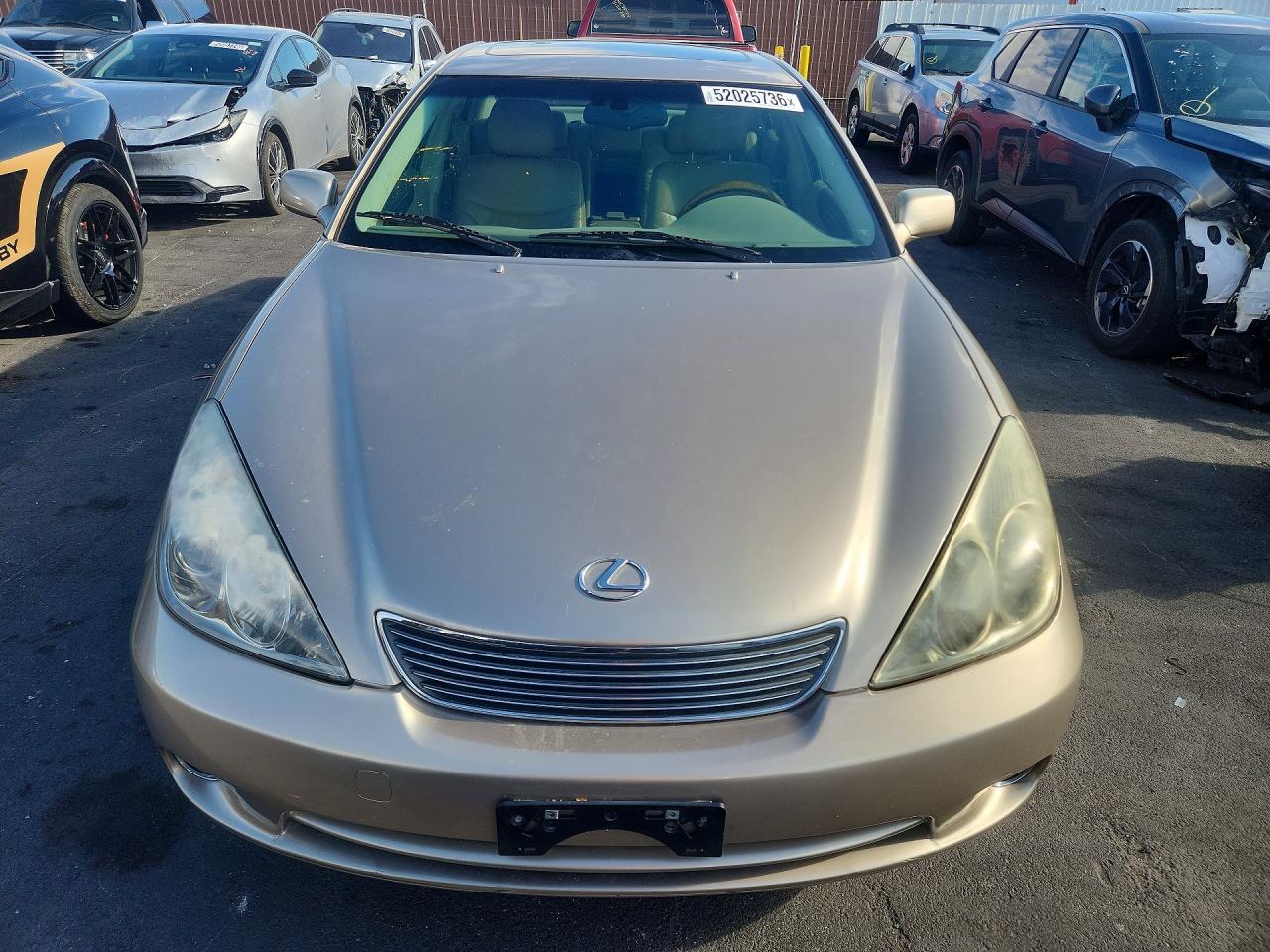 2005 Lexus Es330 VIN JTHBA30GX55131322 photo 5