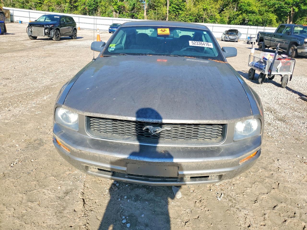 2008 Ford Mustang VIN 1ZVHT80N485136647 photo 5