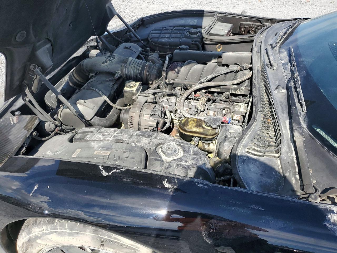 2000 CHEV Corvette VIN 1G1YY32G1Y5131243 photo 11